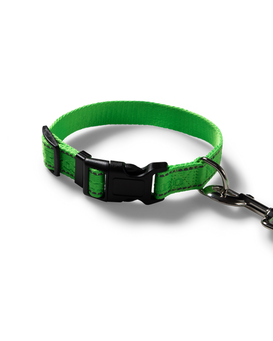 NP Pet Lead