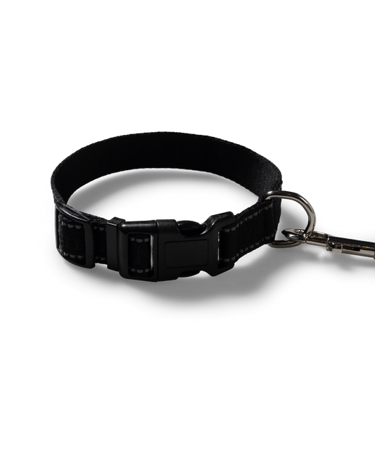 NP Pet Lead