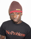NP Stripe Reversible Beanie