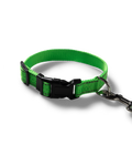 NP Pet Lead