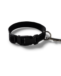 NP Pet Lead