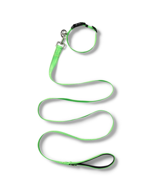 NP Pet Lead