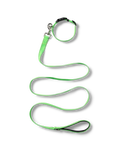 NP Pet Lead