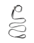 NP Pet Lead