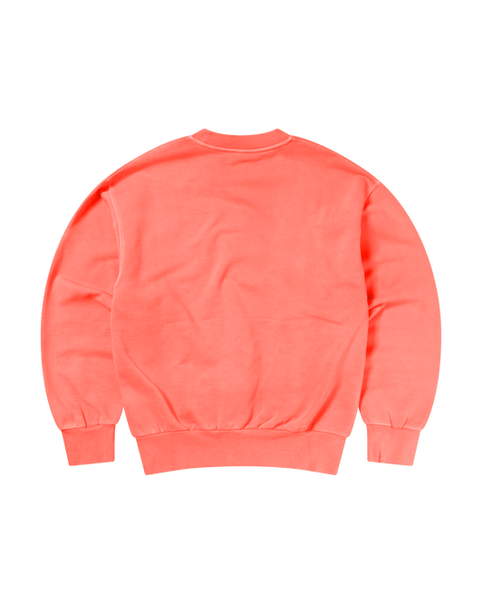 Mini Problemo Sweatshirt