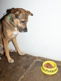 No Problemo Pet Bowl
